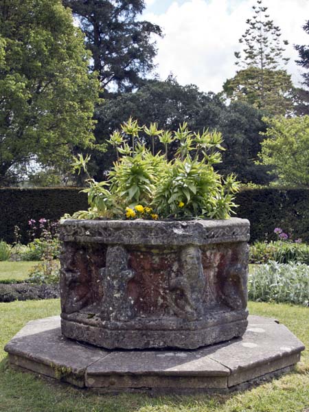 Wellhead Garden,Stansted Park