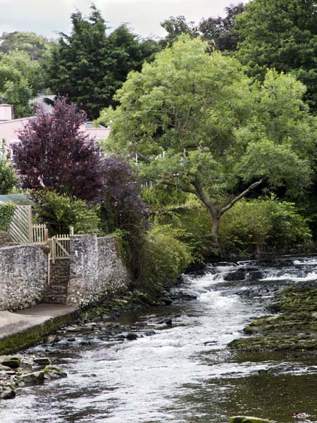 River,Aberaeron