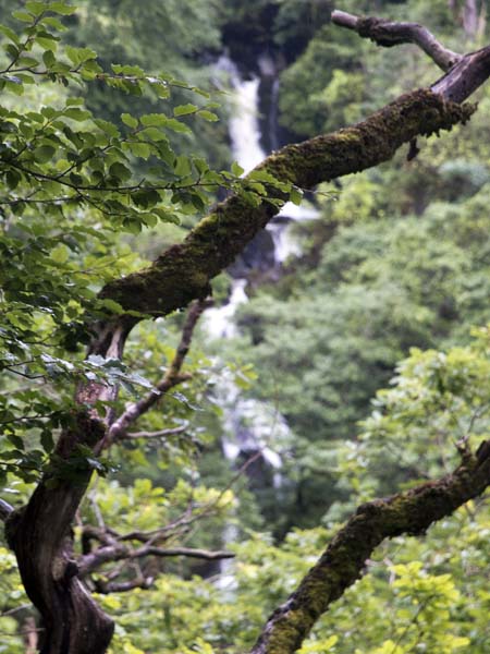 Mynach Falls,Devil's Bridge