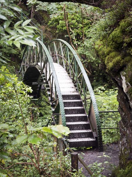 Footbridge,Mynach Falls,Devil's Bridge