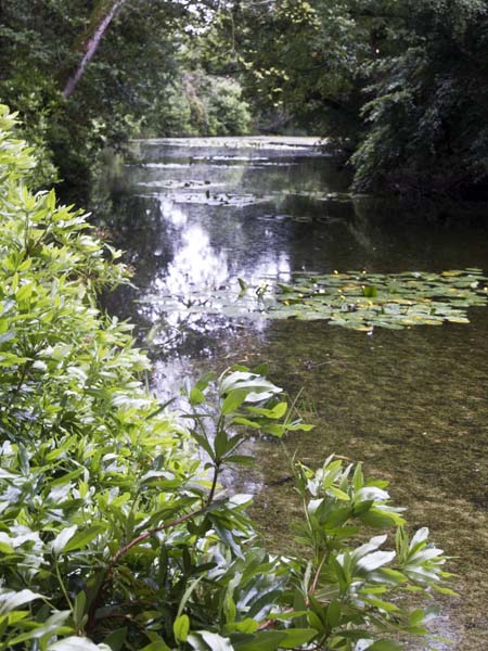 Lake,Llanerchaeron
