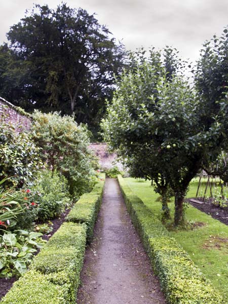 Border,Walled Garden,Llanerchaeron,Ceredigion