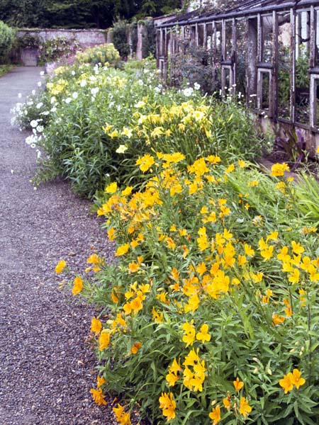 Border,Llanerchaeron