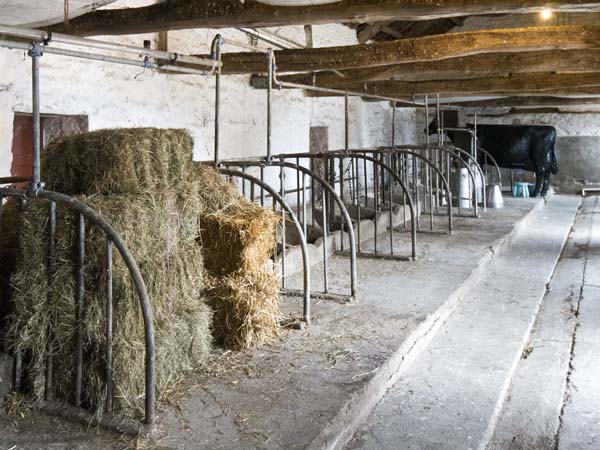 Milking Parlour,Llanerchaeron