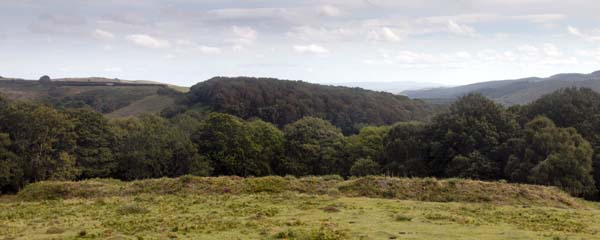 Bury Castle,Selworthy