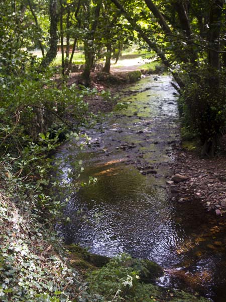 River Aller,Stream,Bossington,Somerset