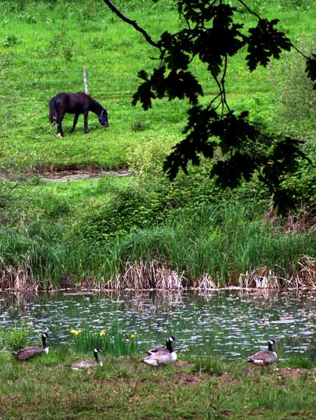 Horton,Prior's Copse,Priors Copse,Queens Copse,Queen's Copse,Wigbeth Lake