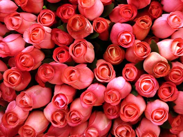 Bath,French Market,Wooden Roses