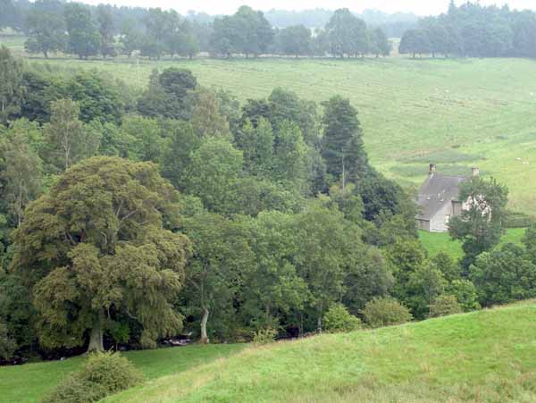 Cheviots,Harbottle Castle,River Coquet