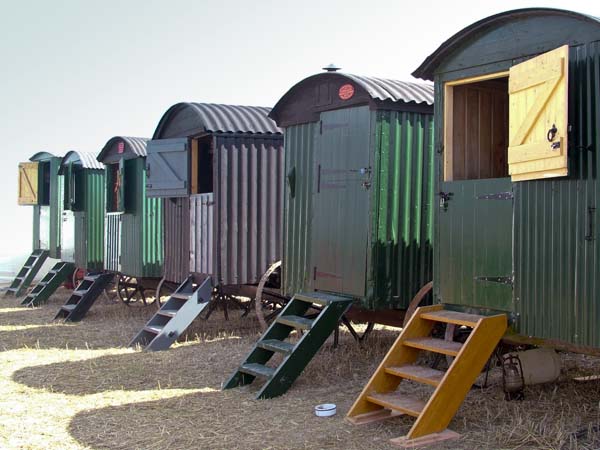 Steam Fair,Shepherd,Shepherds Huts