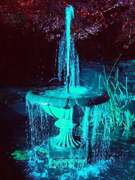 Wimborne,Kingston Lacy,Enchanted Garden,Fountain