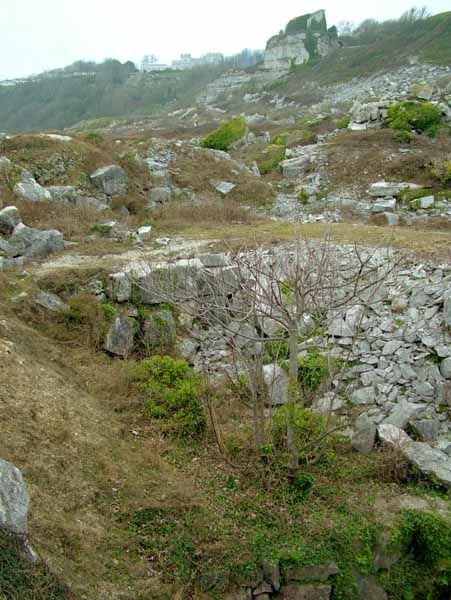 Portland,Easton,Penns Weare