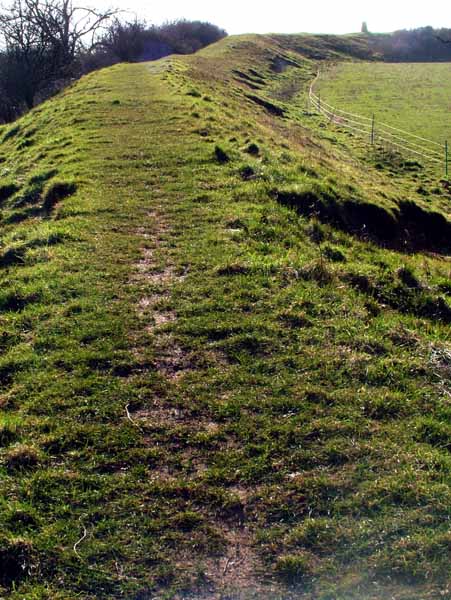 Spetisbury Rings,Iron Age,Hill Fort