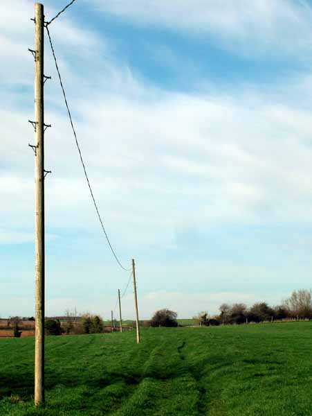 Tarrant Crawford,Road