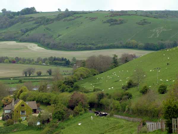 Cerne Abbas,Giant Hill Figure,Antiquity,Dickley Hill