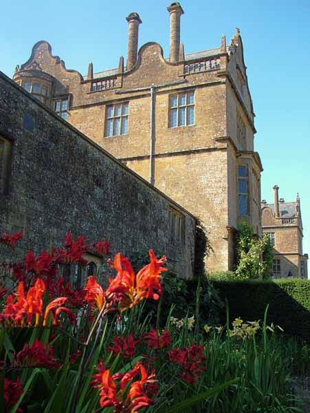 Montacute House,Stately Home,Flowers