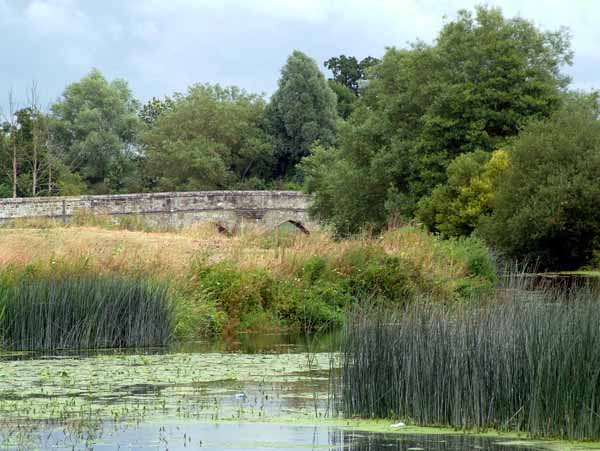 Sturminster Newton Bridge
