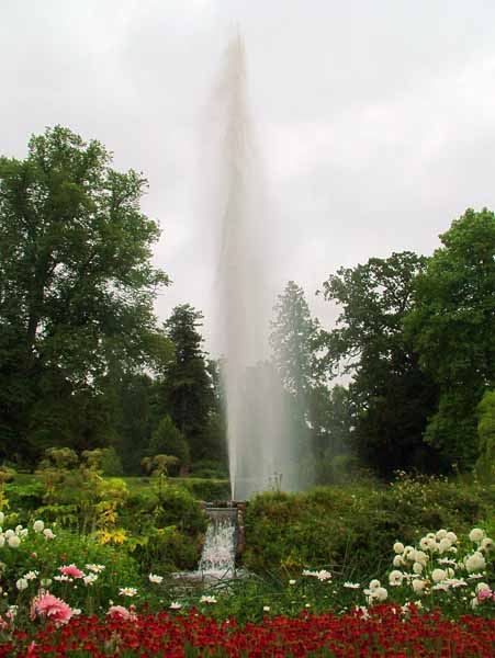Forde Abbey,Garden,Centenary Fountain