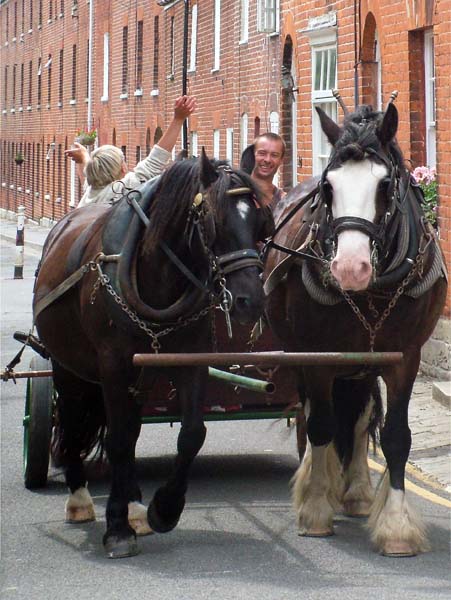 Bridport,Horse,Cart