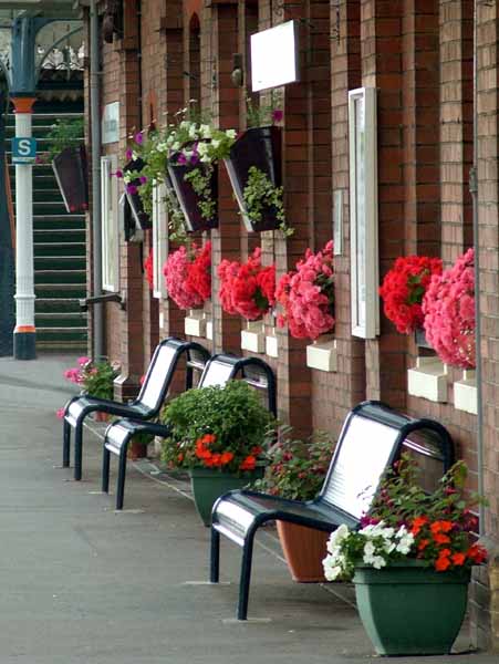 Yeovil Junction Station,Railway,Benches