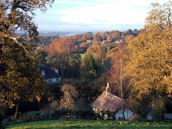 Wimborne,Colehill