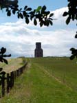 Horton Tower from Prior's Copse