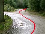 Cycle Route to Frogham