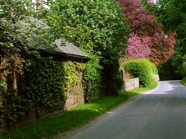 Long Crichel