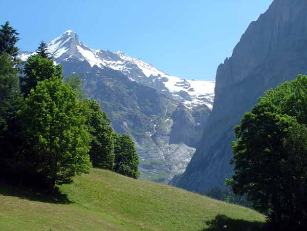 Mountain,Schreckhorn