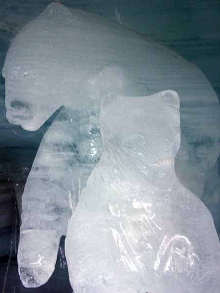 Jungfraujoch,Eistpalast,Ice Palace,Bears