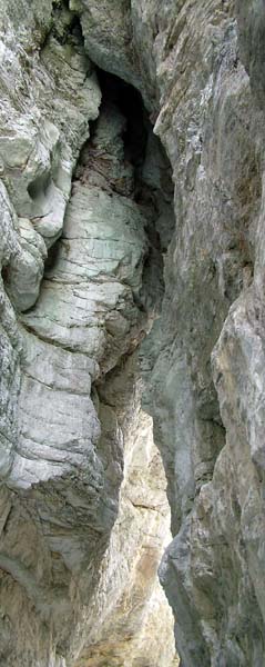 Grindelwald,Gletscherschlucht,Gorge