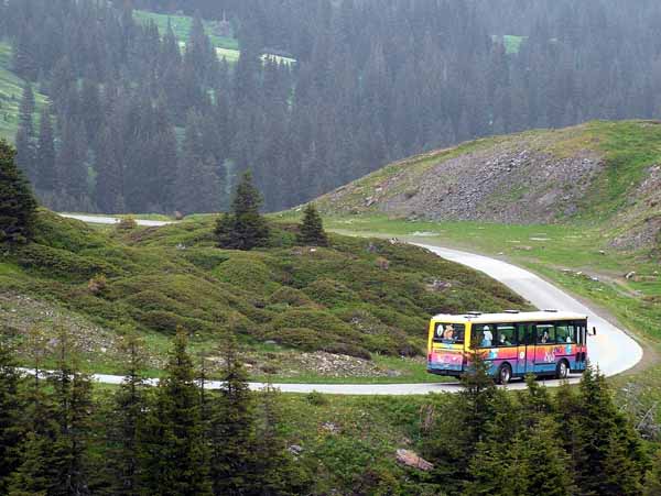 Grosse Scheidegg,Vehicle,Postbus,Bus