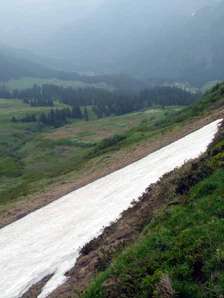 Grosse Scheidegg,Snow