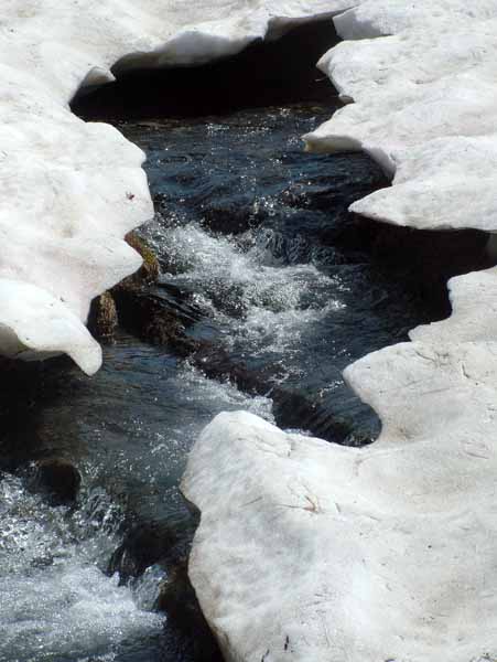 First,Snow,Stream