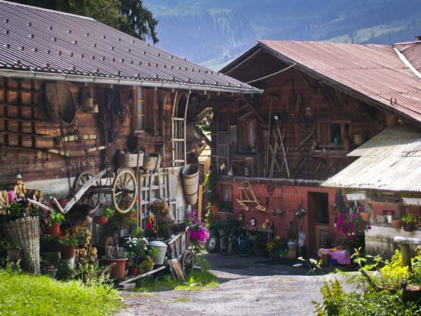 Wengen,Wengwald,Farm,Buildings,Implements