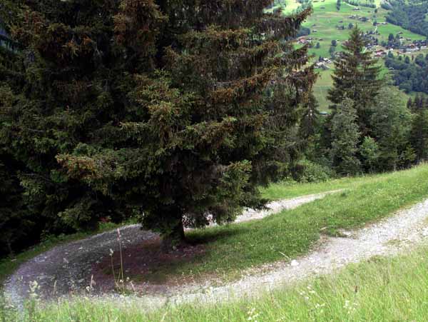 Pfingstegg,Road,Hairpin Bend
