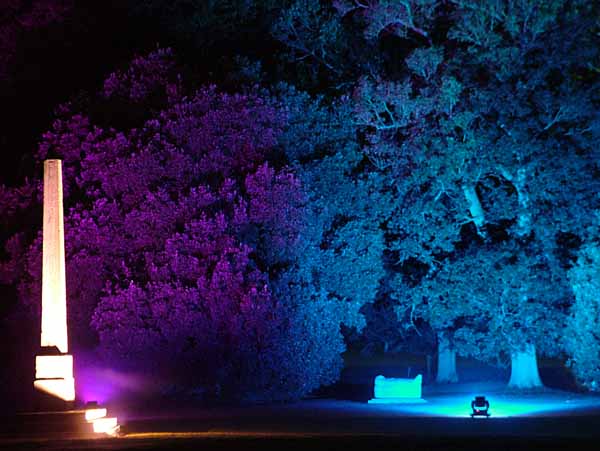 Wimborne,Kingston Lacy,Enchanted Garden,Obelisk,Tree