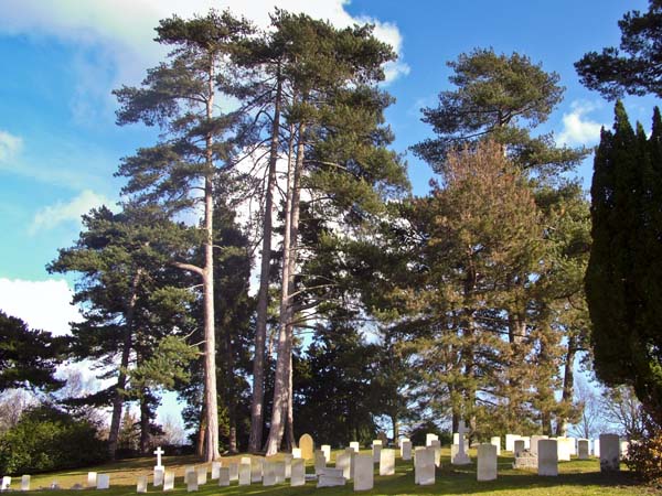 Netley,Royal Victoria,Country Park,Cemetry