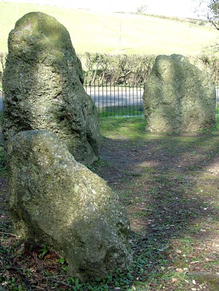 Winterbourne Abbas,Nine Stones,Stone Circle,Antiquity