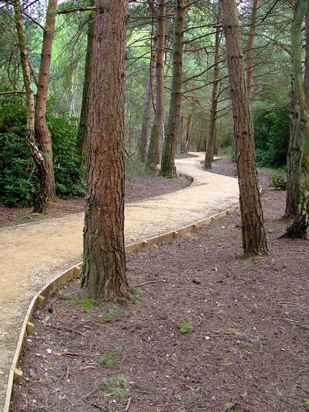 Longham,Poor Common,Trees,Path