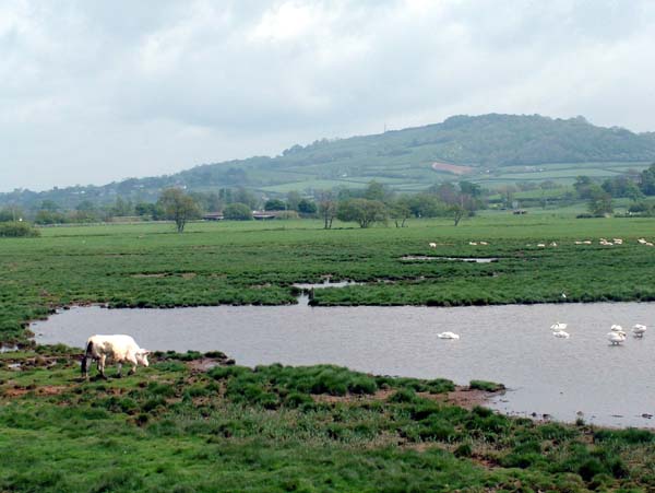 Seaton,Axe Valley
