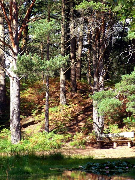 Blue Pool,Wareham,Small Pool,Purbeck