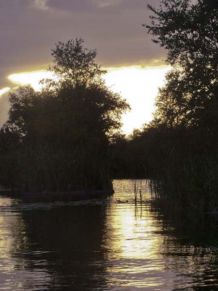 Loosdrecht,Loosdrechtse Plassen