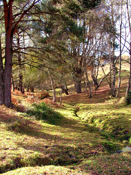 Waterslade,Bottom