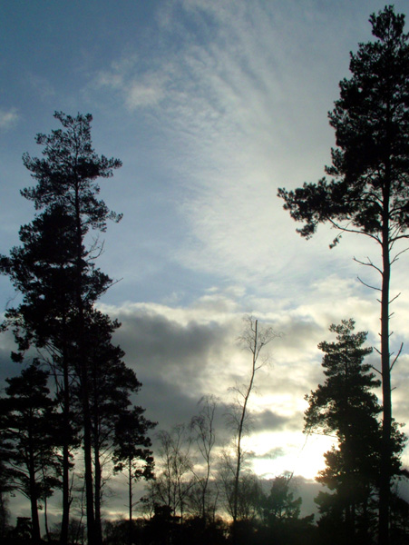 Arne,Sunset,Sky