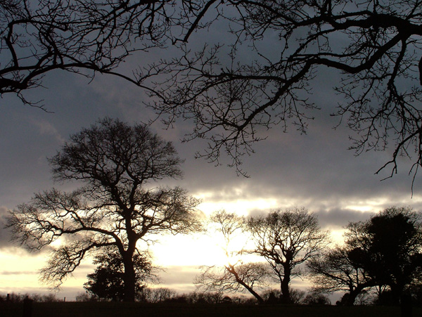 Arne,Sunset,Sky