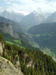 Towards Grindelwald
