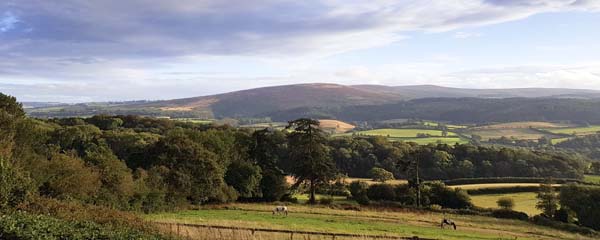 Selworthy,View