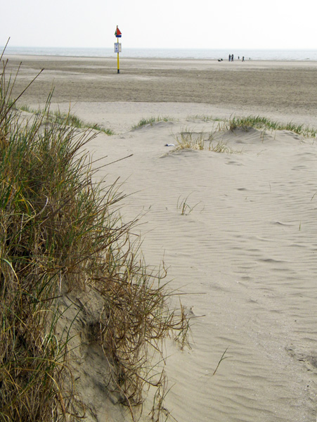 IJmuiden,Beach