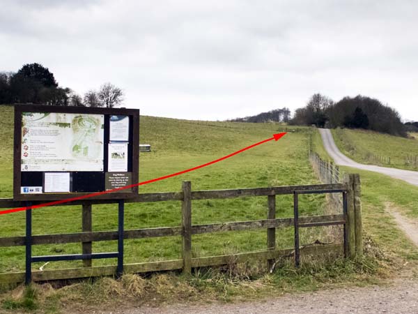 Danebury Hill Fort